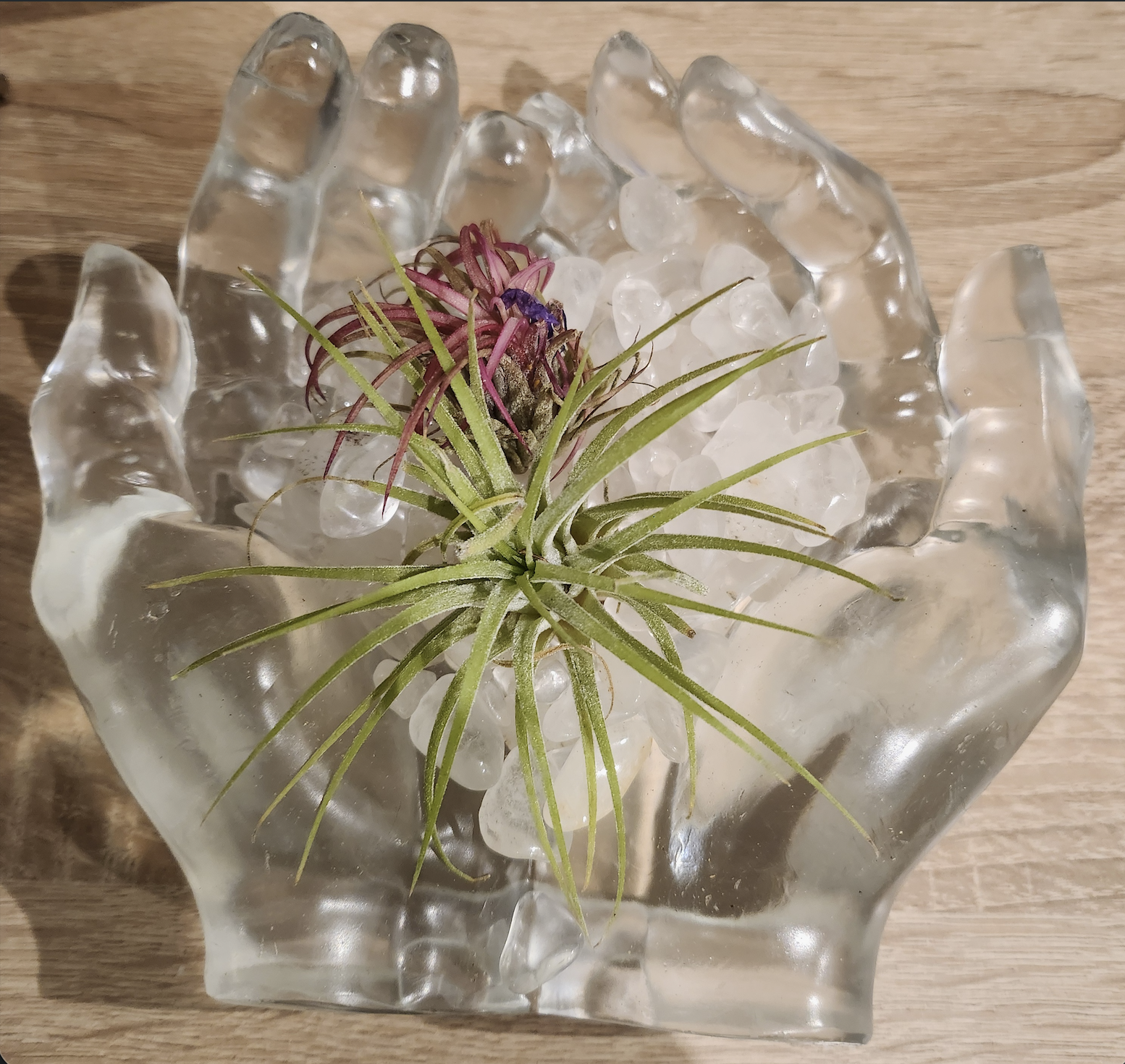 image of membership signup area (for a gym)